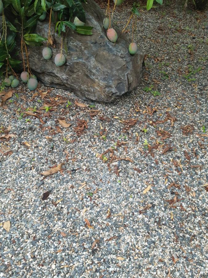 Travellers Paradise Cairns Exterior foto Gravel