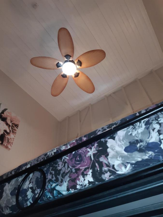 Travellers Paradise Cairns Exterior foto A ceiling fan with a light kit