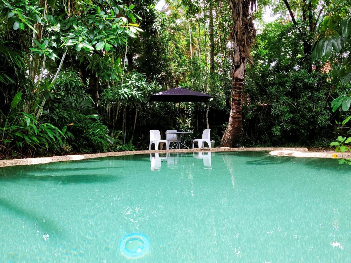Travellers Paradise Cairns Exterior foto The swimming pool at the Rainforest Ecolodge