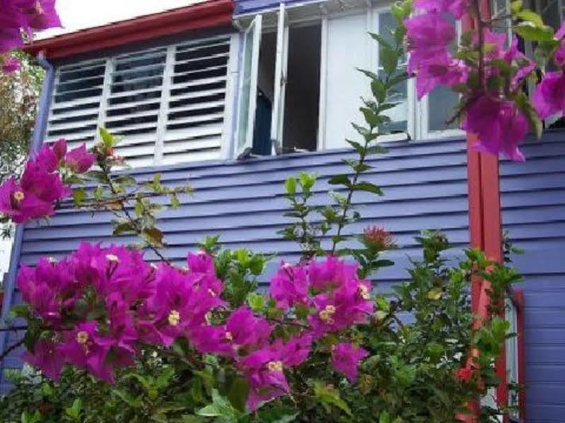 Travellers Paradise Cairns Exterior foto Bougainvillea