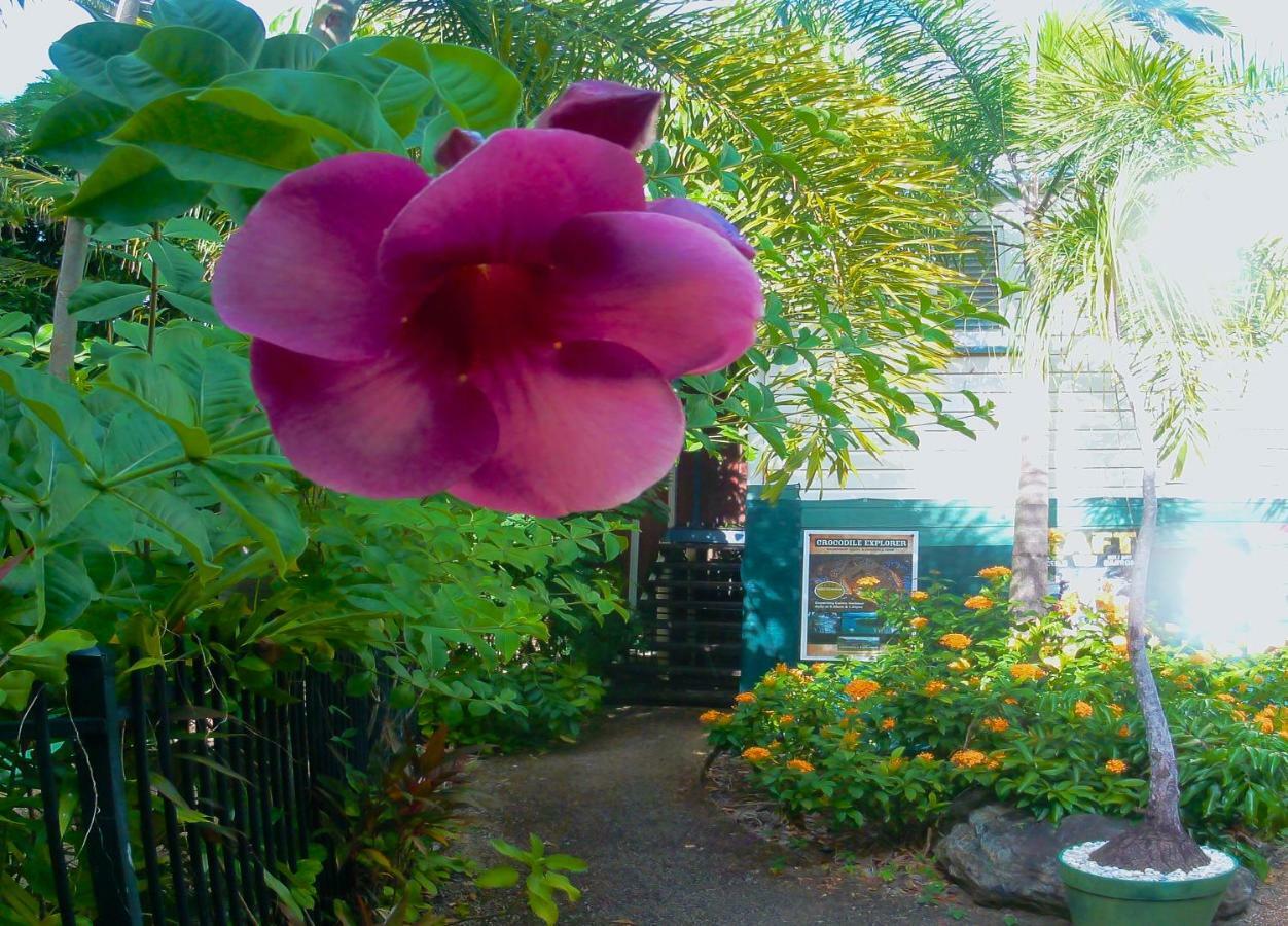 Travellers Paradise Cairns Exterior foto A garden in Hawaii